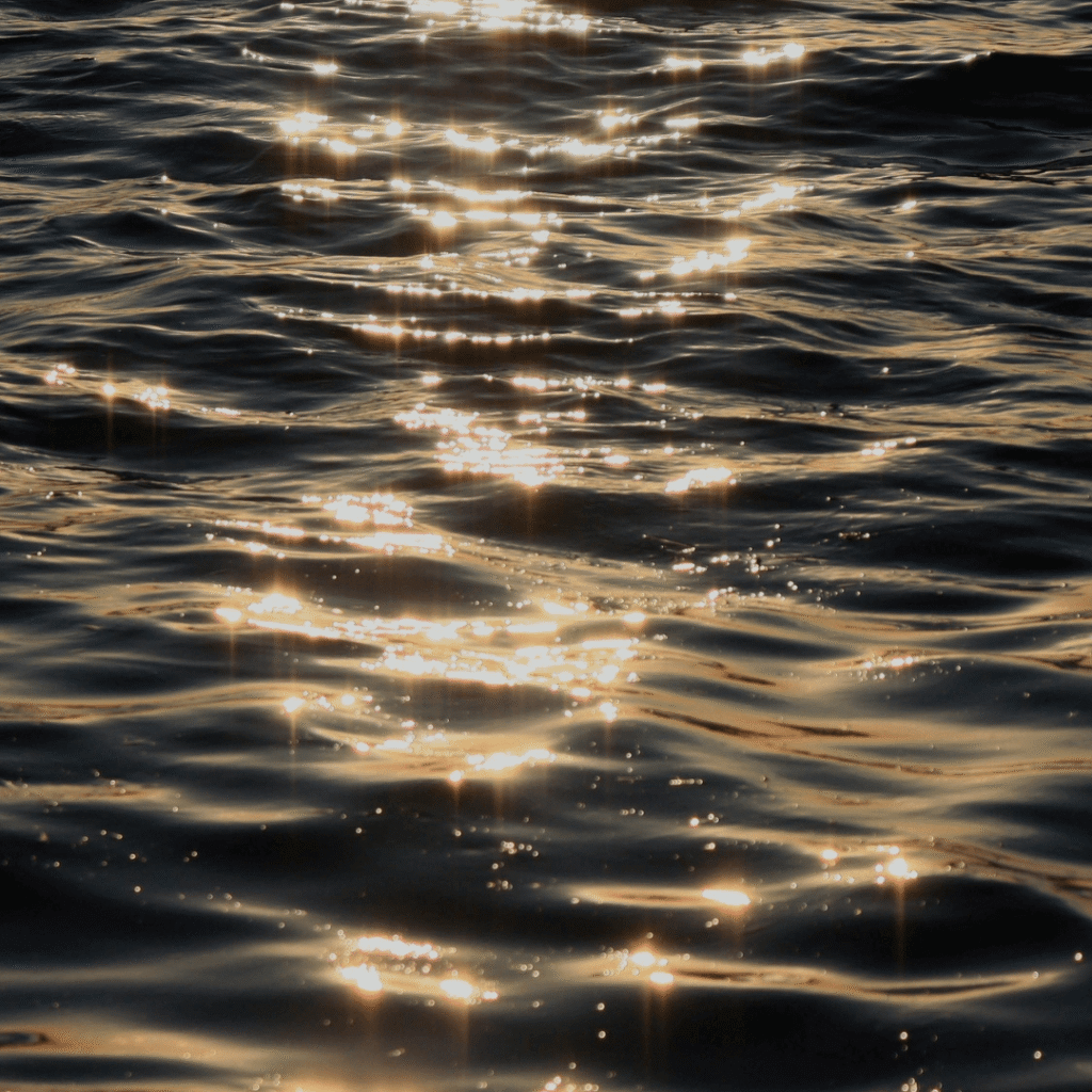 Navigating Emotions with Mindfulness