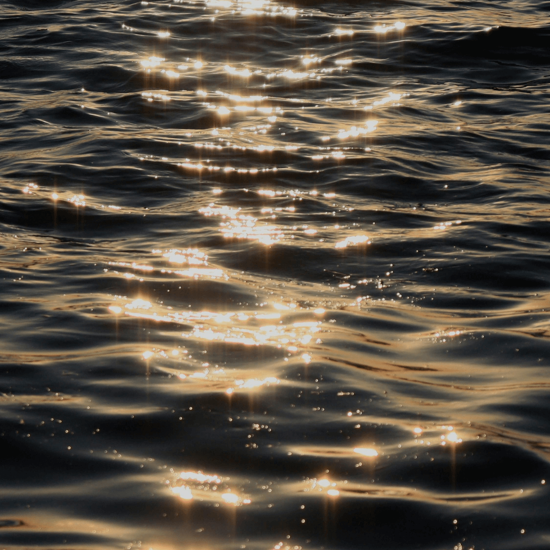 Navigating Emotions with Mindfulness