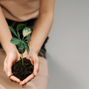 Adopting Sustainable Practices in Daily Life