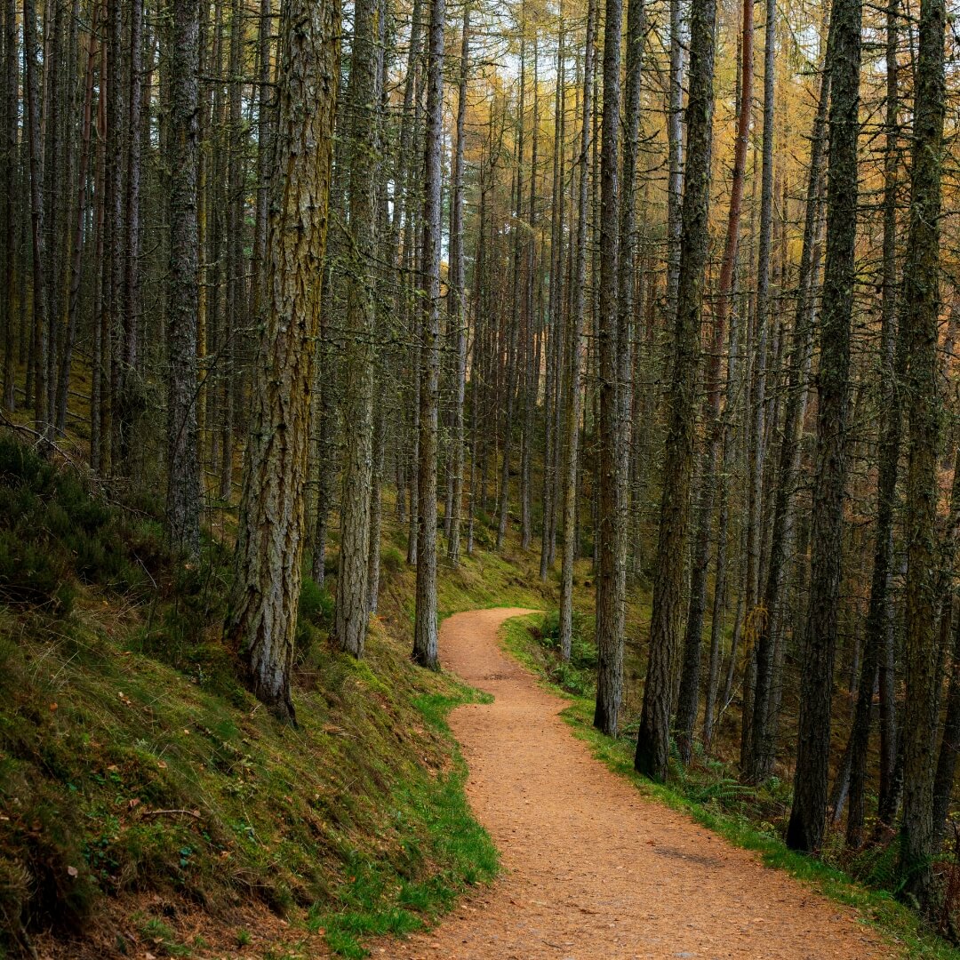 Appreciating and Preserving Nature's Bount