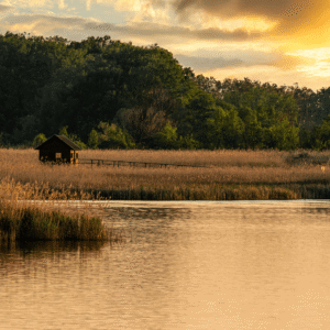 Mindful Boundaries: How to Protect Your Heart Without Building Walls