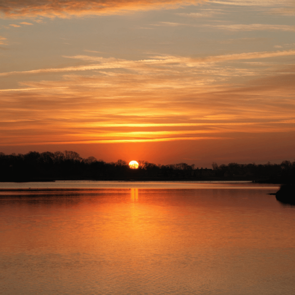 The Science of Self-Compassion: How Kindness Changes Your Brain