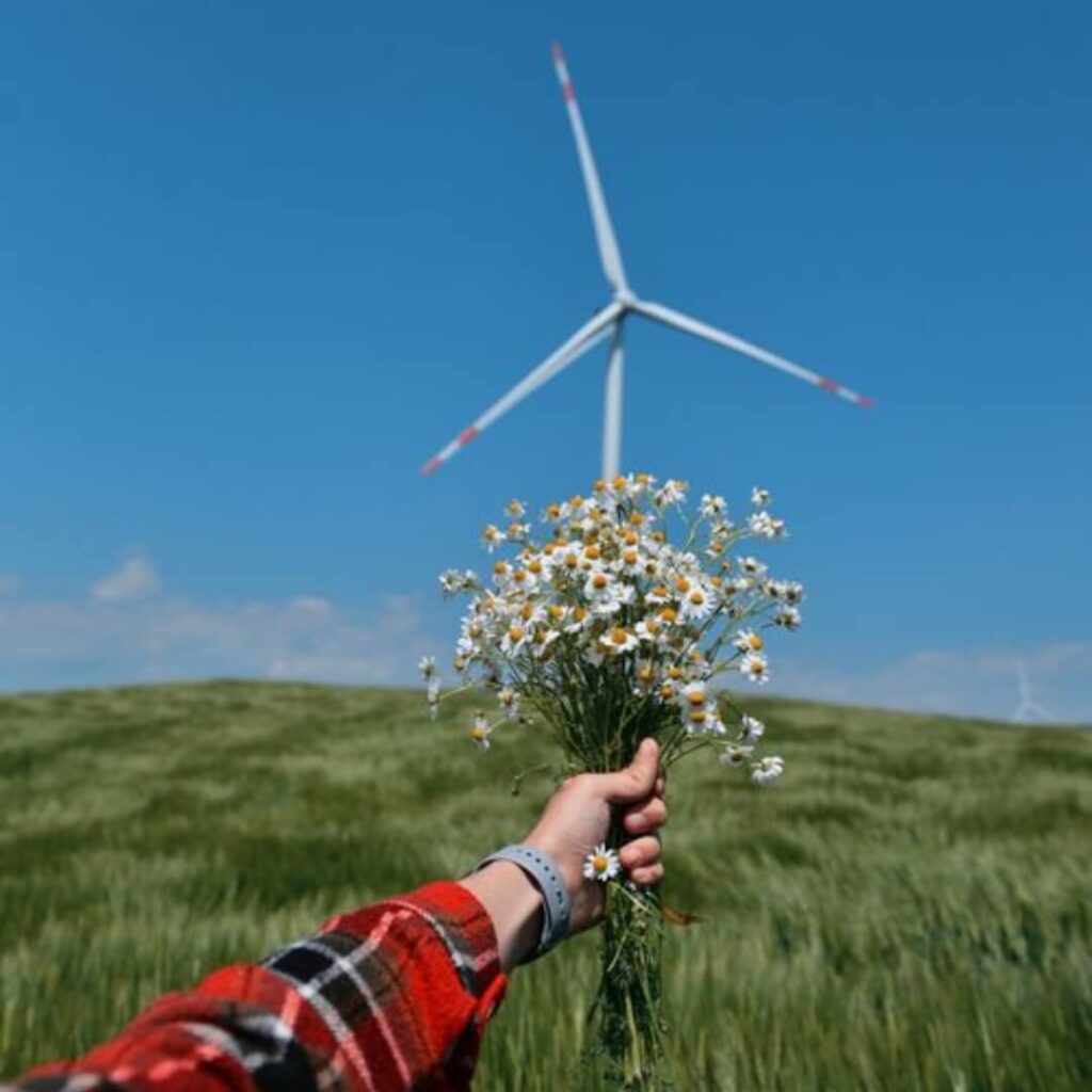 Summer Energy: Working With Your Natural Rhythms